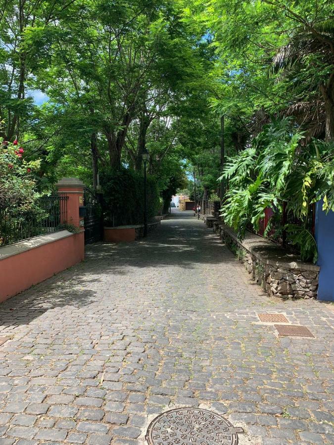 Apartmán Estacion Camacho Tacoronte Exteriér fotografie